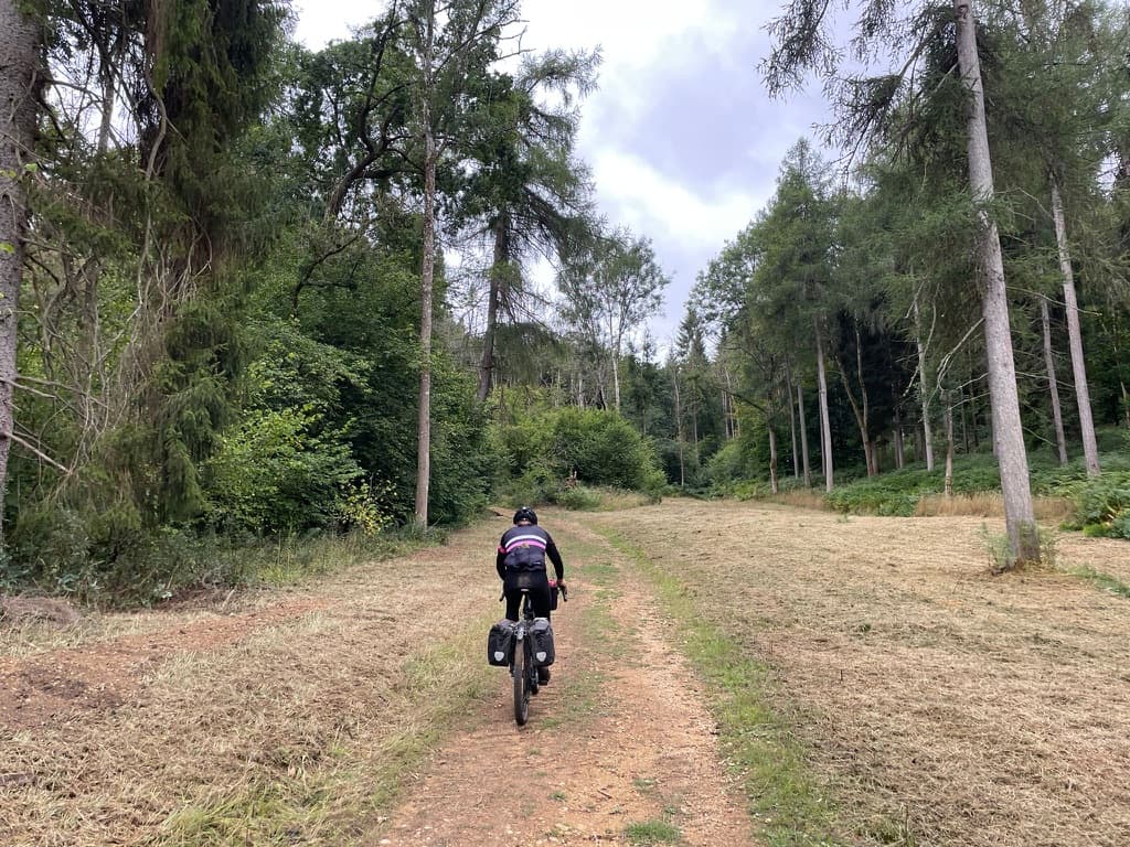 The Shire’s Way